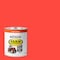 Rust-Oleum Exterior Paint, Gloss, Oil Base, Kubota Orange, 1 qt 280159 - alternate 2
